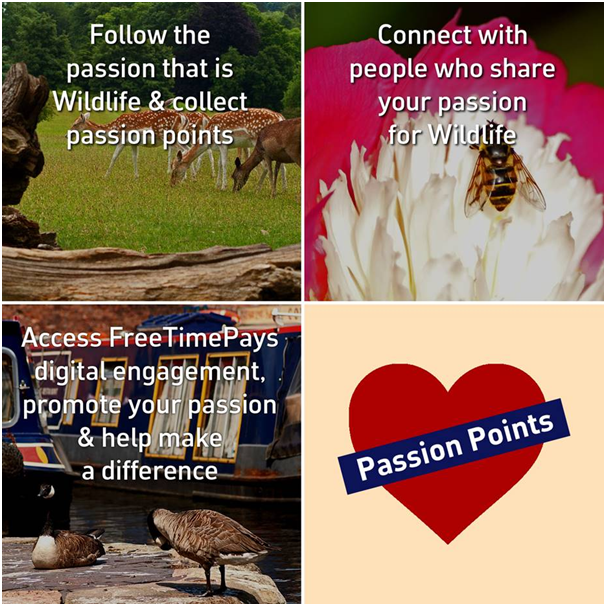 WildlifeAndUs+-+we%60re+all+about+connecting+People+with+Passion