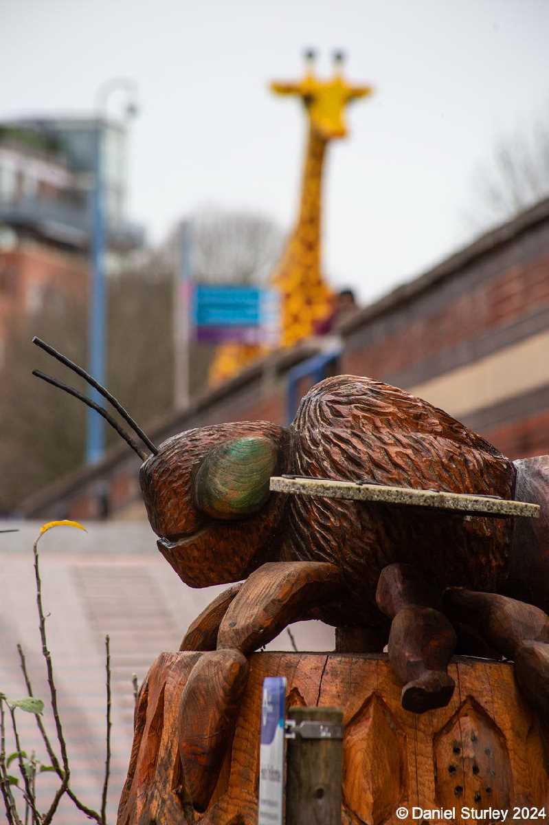 Birmingham, the Wooden Bee and the Lego Giraffe - 4th January 2024