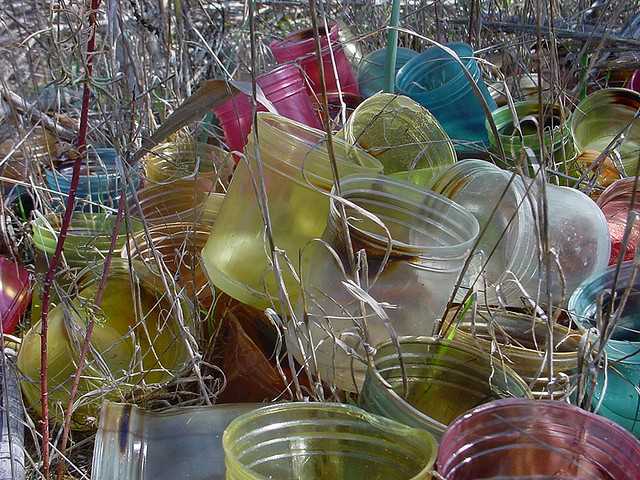 Plastic+free+Birmingham!