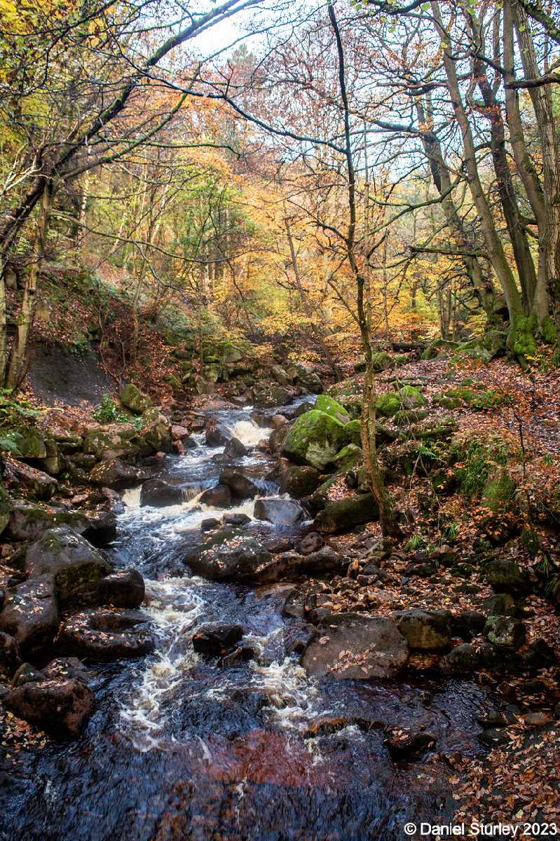 Photography Trip to Padley Gorge in the Peak District - 10th November 2023