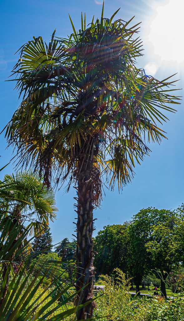 Cannon Hill Park, Birmingham 