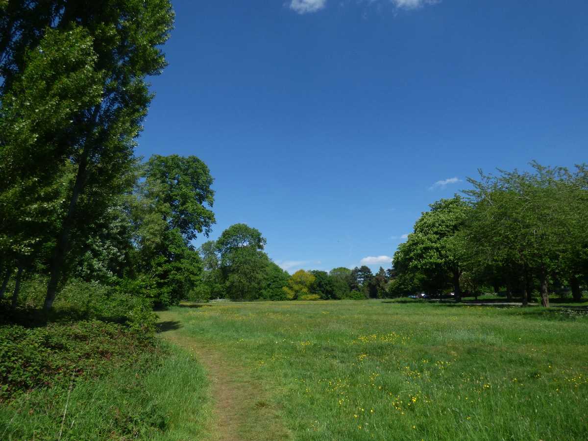 A sunny day in May at Highbury Park and Highbury Hall