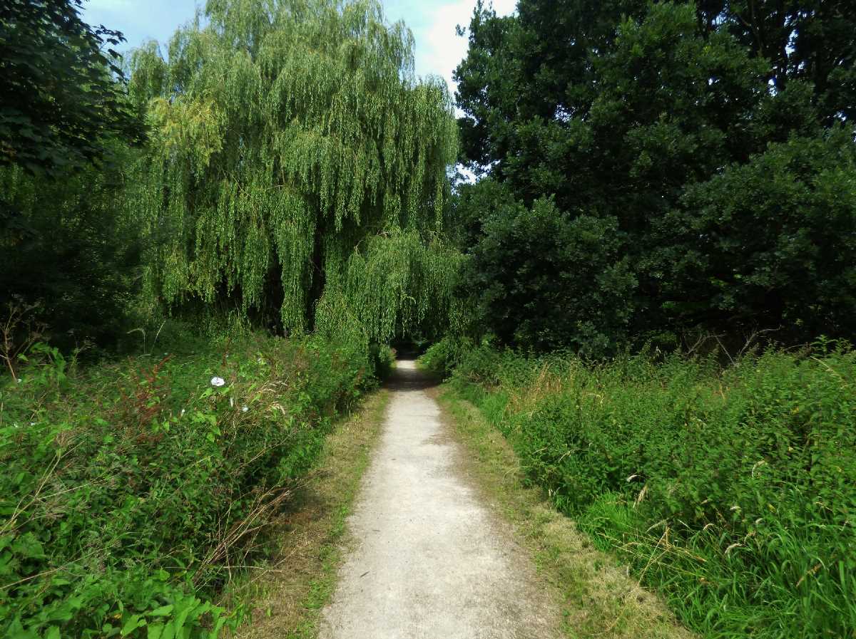 Hollybank Spinney on The Haunch Brook Pathways