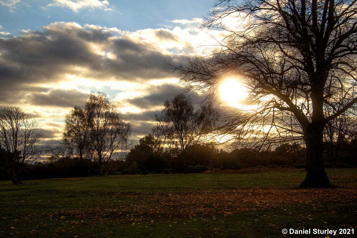 Royal Sutton Coldfield, Sutton Park Near to Boldmere Gate - 20th November 2021