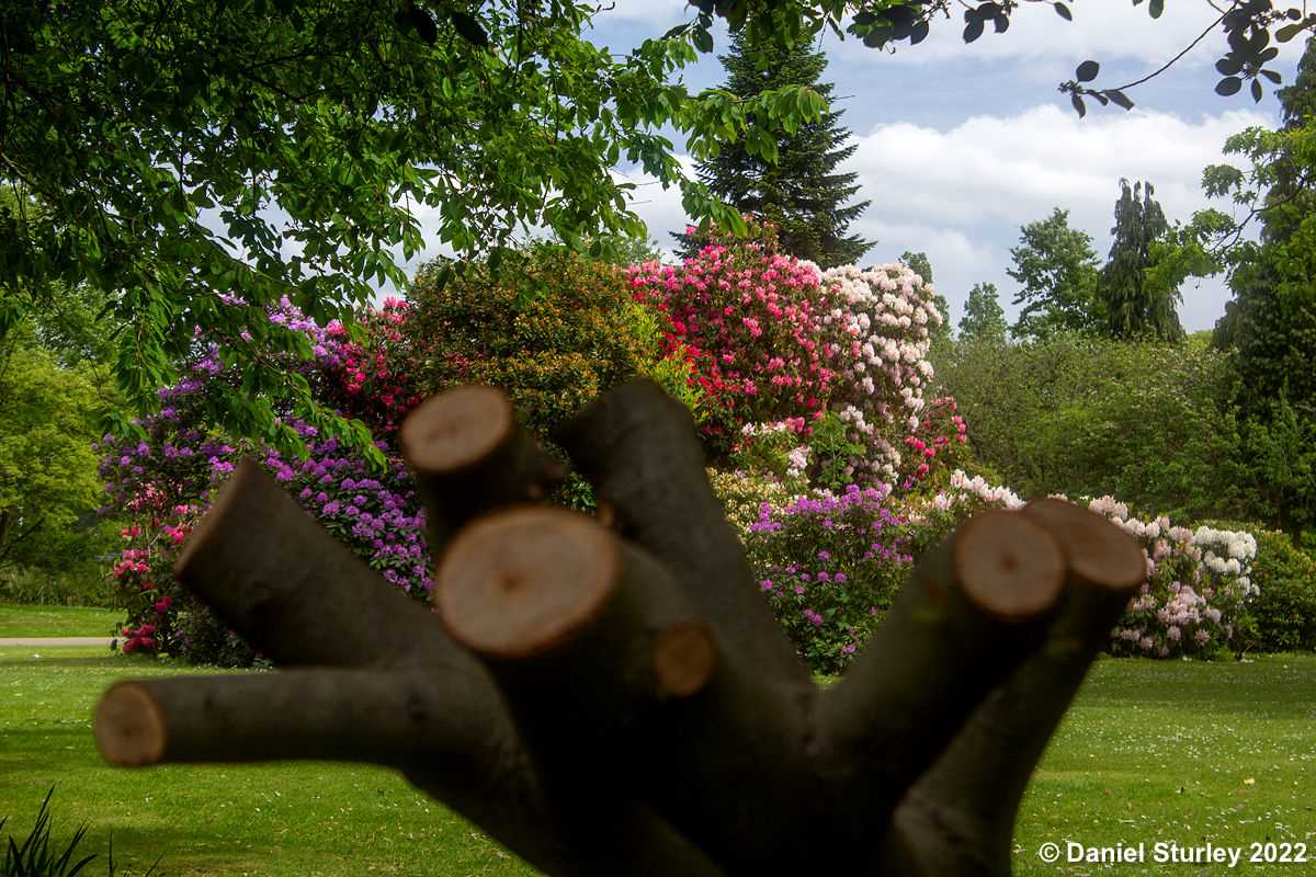 Birmingham, Cannon Hill Park - 22nd May 2022