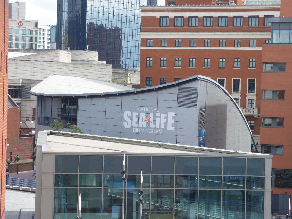 National+Sealife+Centre+-+A+Birmingham+Gem!