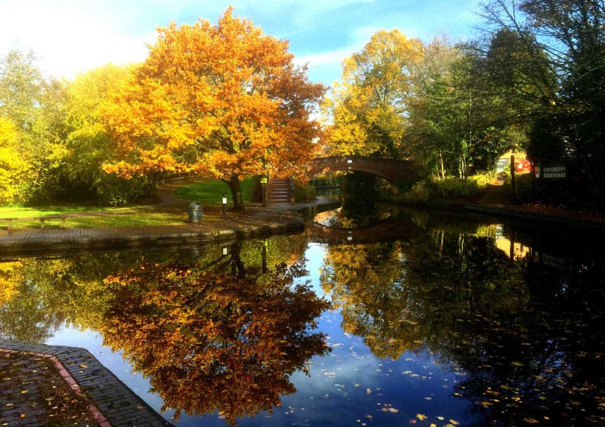 Vale Village Park at the University of Birmingham