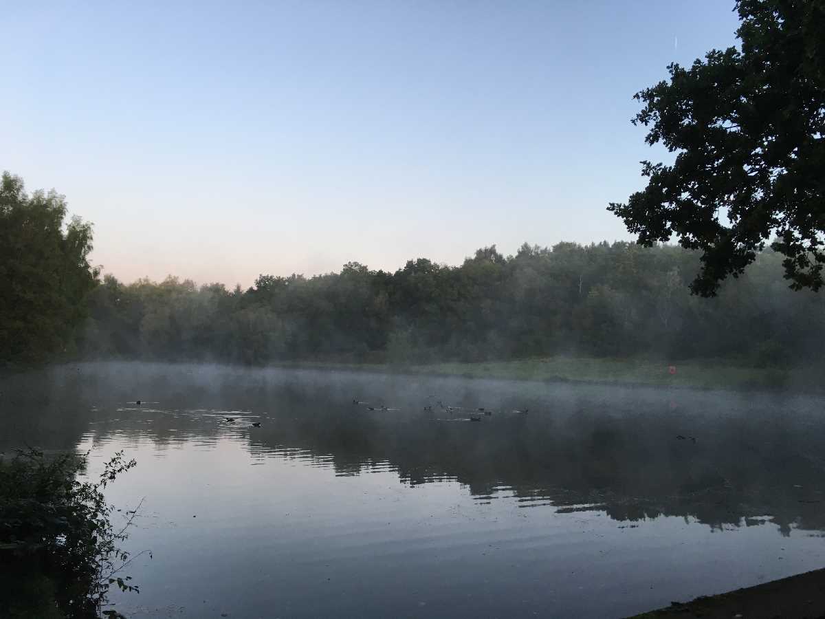 Early riser? Try Sutton Park - you won`t regret it! 