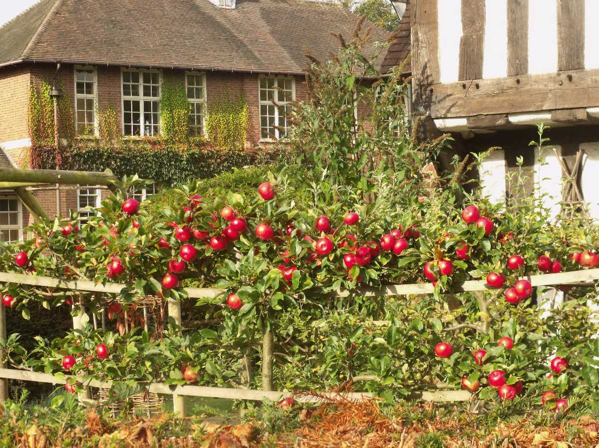 Selly+Manor+(and+Minworth+Greaves)+-+Historic+Gems+in+Bournville