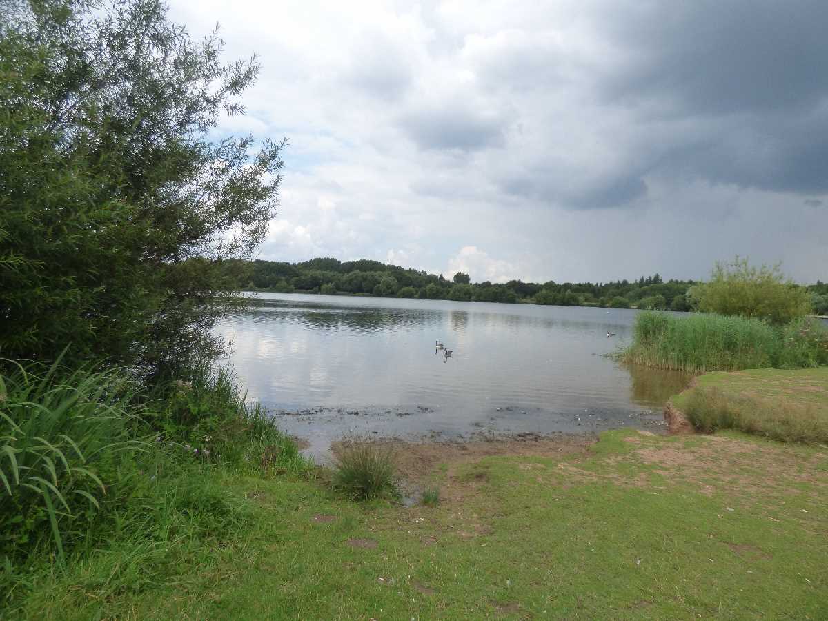 A visit to Sandwell Valley Country Park on the 4th August 2021