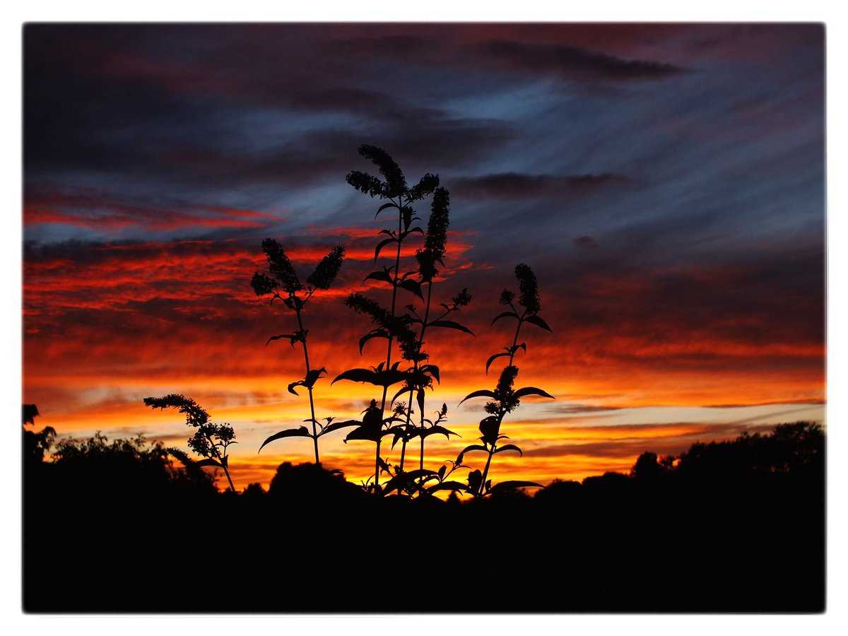 Stunning+Sunsets+and+Sunrises+in+Birmingham