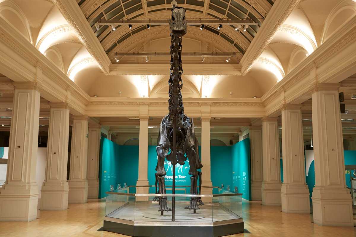 A+lot+of+love+for+Dippy+from+Birmingham+